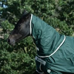 NEW GREEN-LINE COMBI-NECK