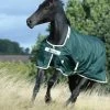NEW GREEN-LINE TURNOUT 100 FILL -Best Equestrian Supplies new green line turnout 100 fill