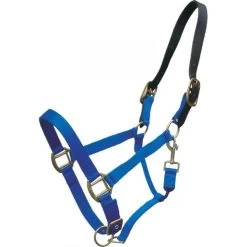 NYLON HALTER WITH LEATHER BREAKAWAY