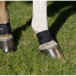 Back On Track PASTERN WRAP