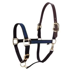 Equinavia Pegasus Ribbon Breakaway Halter 6 Equinavia Pegasus Ribbon Breakaway Halter -Best Equestrian Supplies pegasus ribbon breakaway halter 1