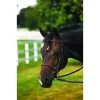 PLAIN RAISED BRIDLE 2 PLAIN RAISED BRIDLE -Best Equestrian Supplies plain raised bridle