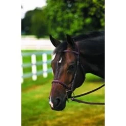 PLAIN RAISED BRIDLE