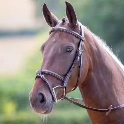 PORTLAND BRIDLE