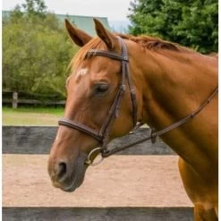 PRO MONO CROWN RAISED FANCY STITCH BRIDLE WITH REINS