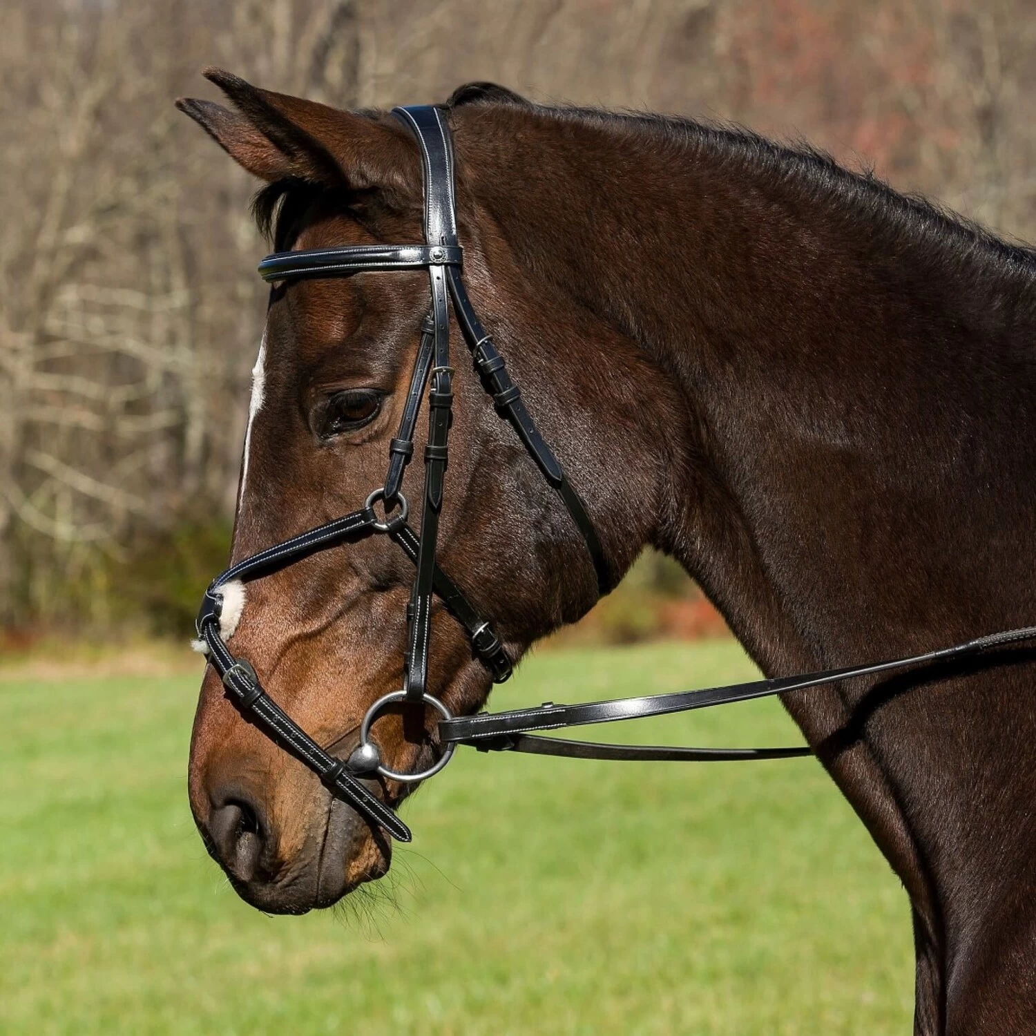 PRO MONO CROWN RAISED FIGURE 8 BRIDLE WITH RUBBER GRIP REINS 3 PRO MONO CROWN RAISED FIGURE 8 BRIDLE WITH RUBBER GRIP REINS