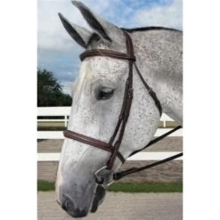 PRO STRESS FREE FANCY PADDED BRIDLE