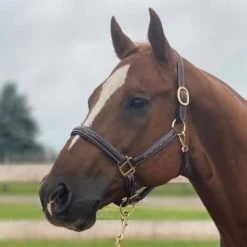 RAISED, FANCY STITCHED LEATHER HALTER