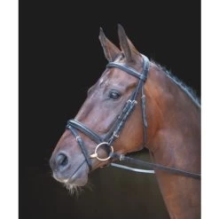 ROSSANO MILAN BRIDLE