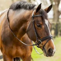 Equinavia Saga Dressage Crank Noseband Bridle & Reins -Best Equestrian Supplies saga dressage crank noseband bridle reins 7