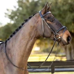 Equinavia Saga Padded Dressage Bridle & Reins