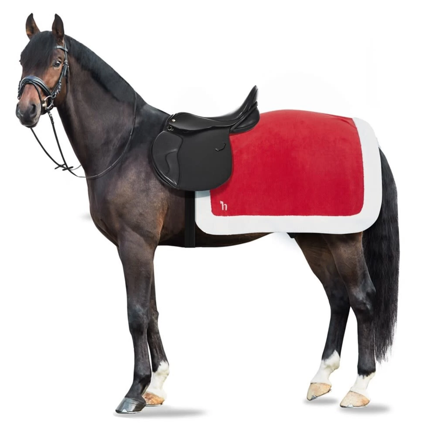 Santa Riding Blanket - Red 3 Santa Riding Blanket - Red