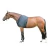 Back On Track SHOULDER GUARD -Best Equestrian Supplies shoulder guard