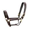 SIGNATURE HALTER -Best Equestrian Supplies signature halter