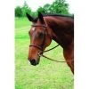 SINGLE CROWN FANCY RAISED HUNT BRIDLE -Best Equestrian Supplies single crown fancy raised hunt bridle