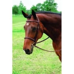 SINGLE CROWN FANCY RAISED HUNT BRIDLE
