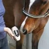 SMALL OVAL WOODEN BRUSH -Best Equestrian Supplies small oval wooden brush