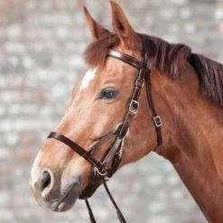 Waldhausen STAR BITLESS BRIDLE 2