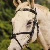 WOODSIDE BRIDLE 2 WOODSIDE BRIDLE -Best Equestrian Supplies woodside bridle