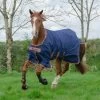 X-RANGE TURNOUT 200 FILL -Best Equestrian Supplies x range turnout 200 fill