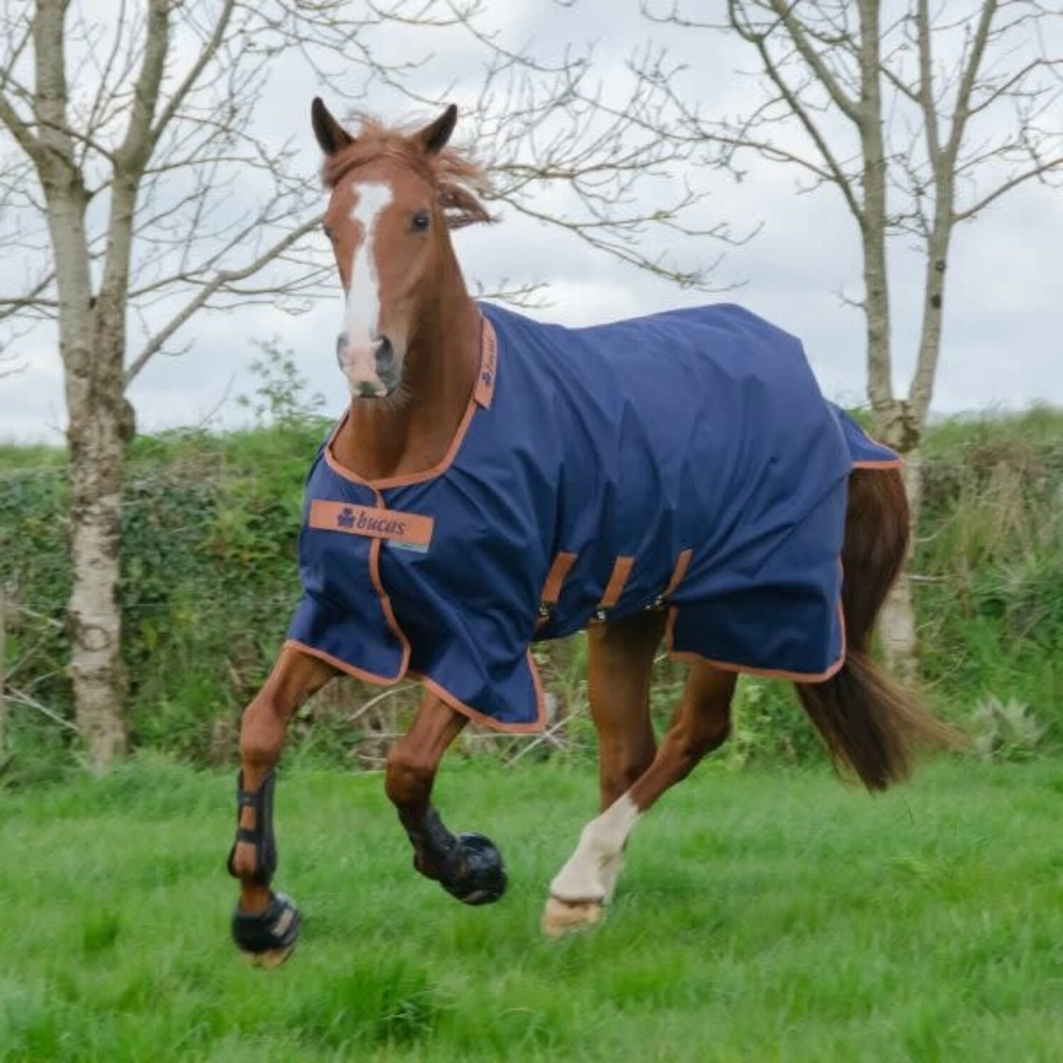 X-RANGE TURNOUT 200 FILL 3 X-RANGE TURNOUT 200 FILL