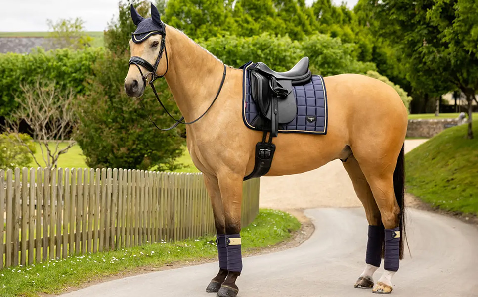 Best Equestrian Supplies 9 Best Equestrian Supplies -Best Equestrian Supplies 1