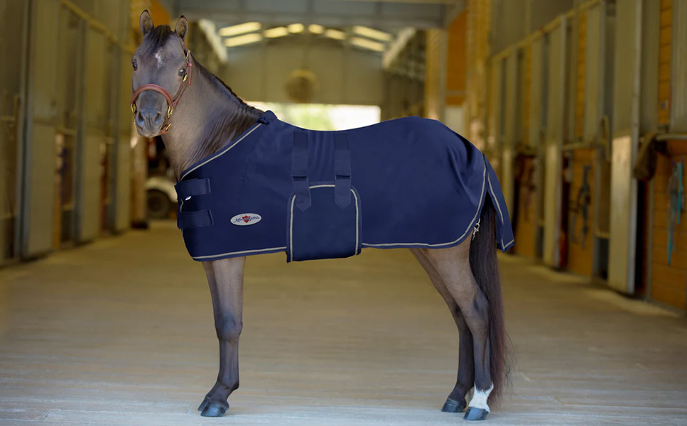 Best Equestrian Supplies 11 Best Equestrian Supplies -Best Equestrian Supplies 2